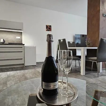 Venuse Pensionat Ostrava